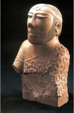 Priest King of Harappans Civilizations